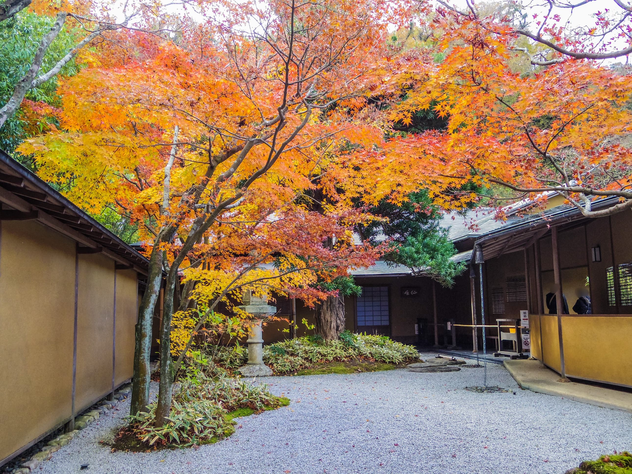 北鎌倉エリアの紅葉