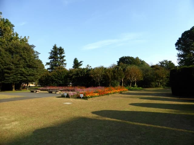 Ofuna Flower Center: An Autumn Highlights Guide